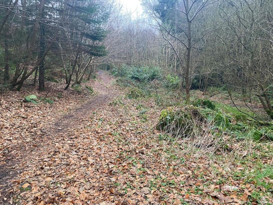 Forest View - Castlewellan, County Down Belfast Eksteriør bilde