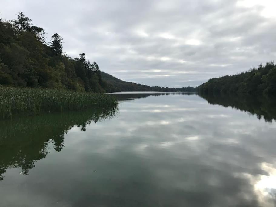 Forest View - Castlewellan, County Down Belfast Eksteriør bilde