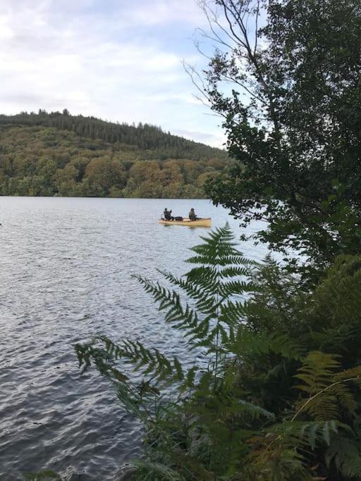 Forest View - Castlewellan, County Down Belfast Eksteriør bilde