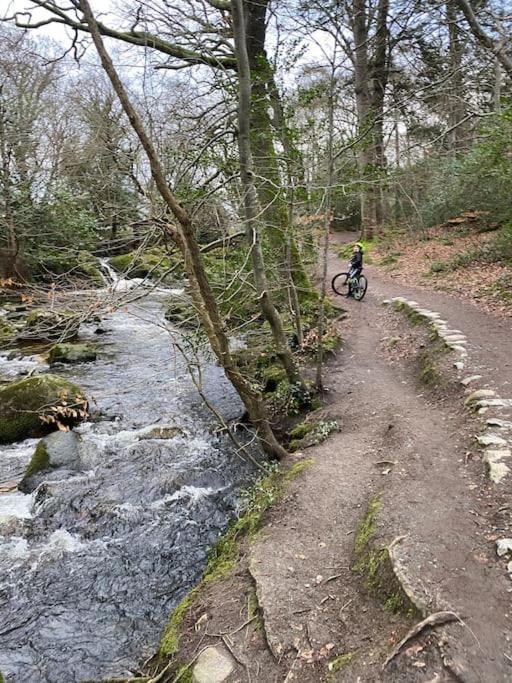 Forest View - Castlewellan, County Down Belfast Eksteriør bilde