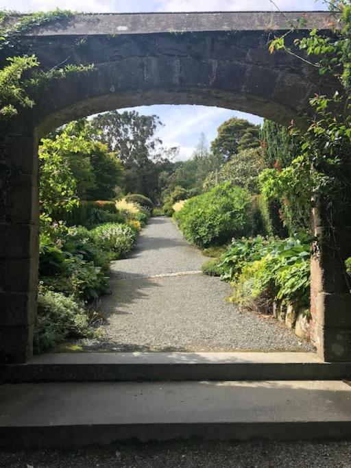 Forest View - Castlewellan, County Down Belfast Eksteriør bilde
