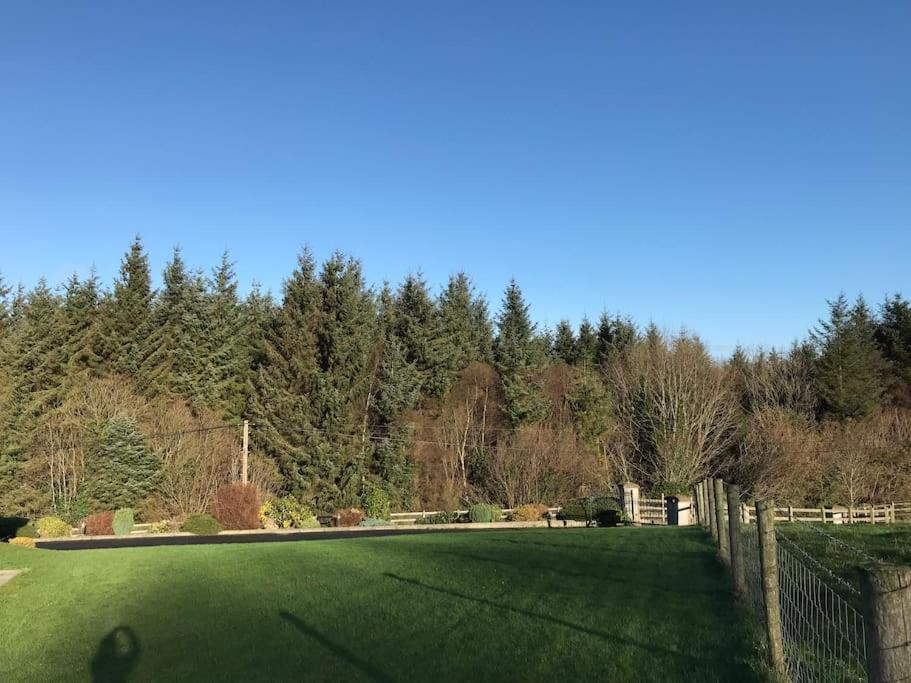 Forest View - Castlewellan, County Down Belfast Eksteriør bilde