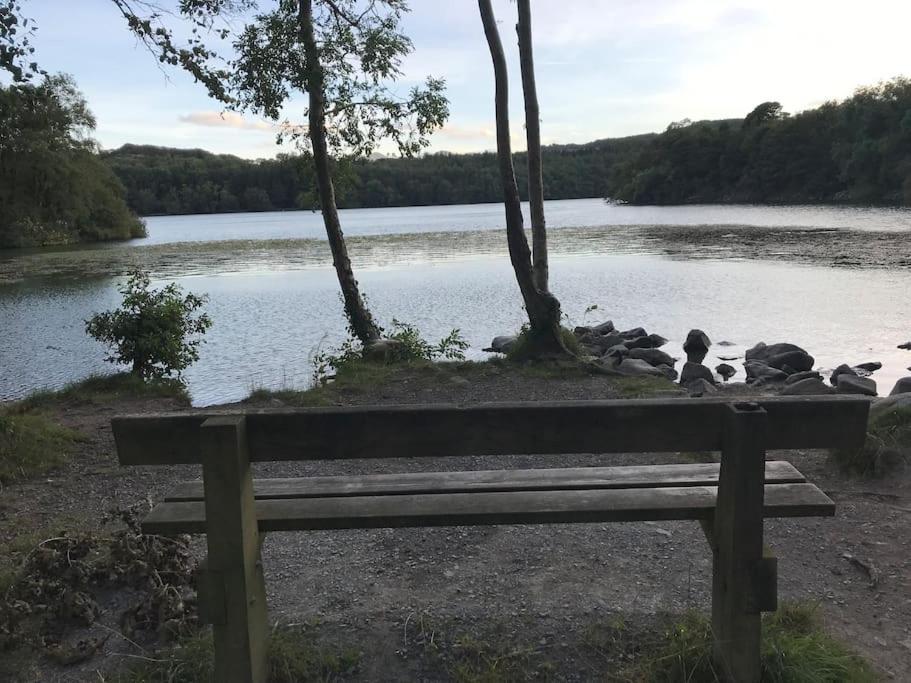Forest View - Castlewellan, County Down Belfast Eksteriør bilde