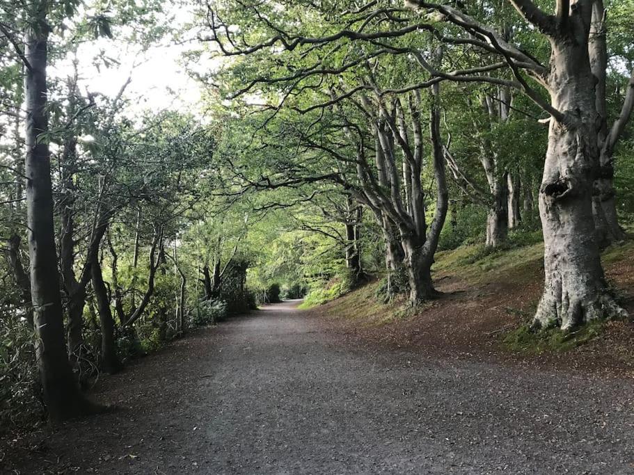 Forest View - Castlewellan, County Down Belfast Eksteriør bilde